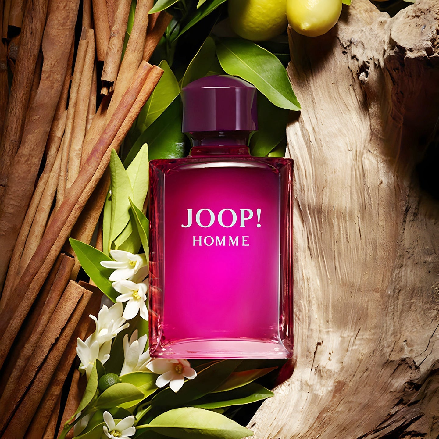 Joop! Homme 