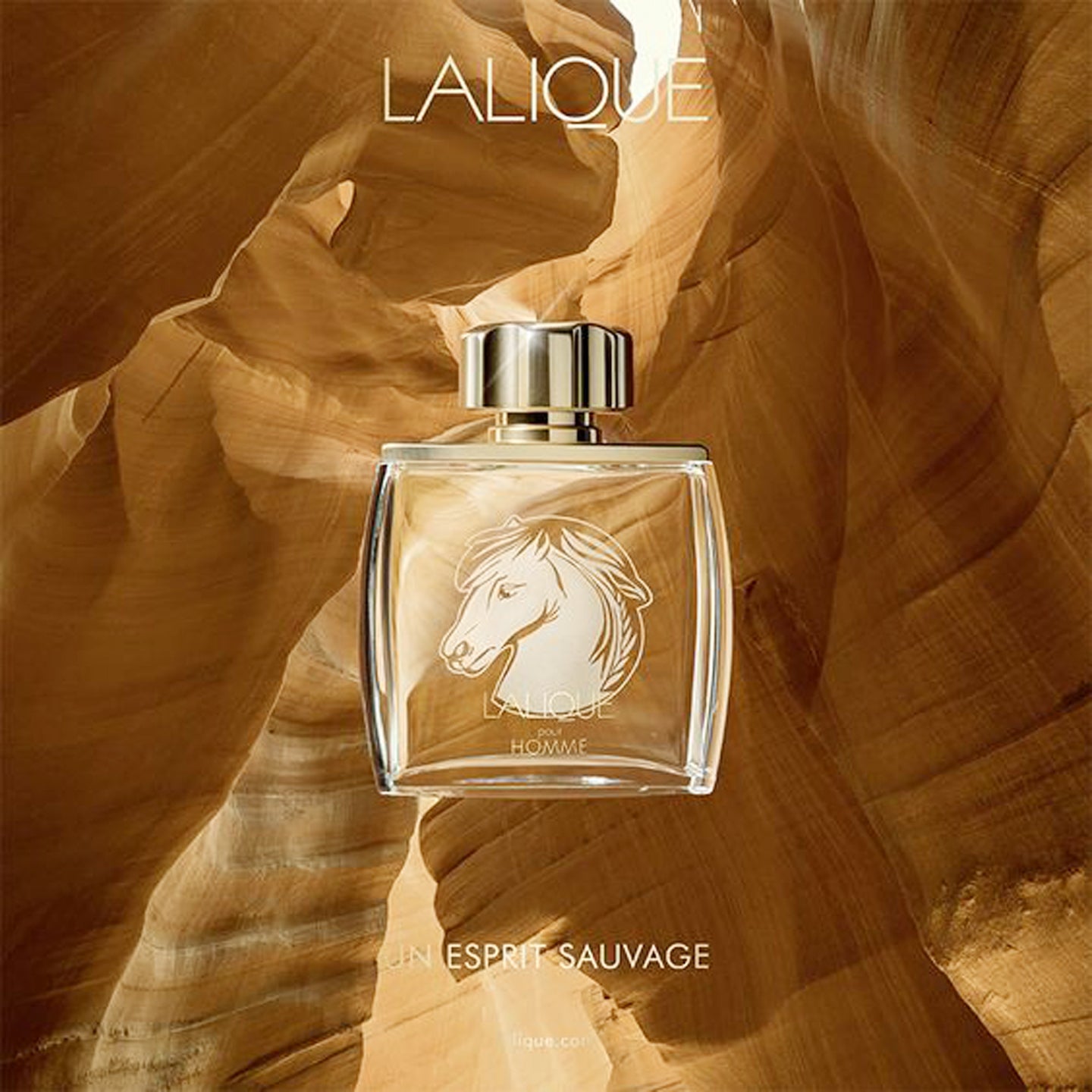 Lalique Equus