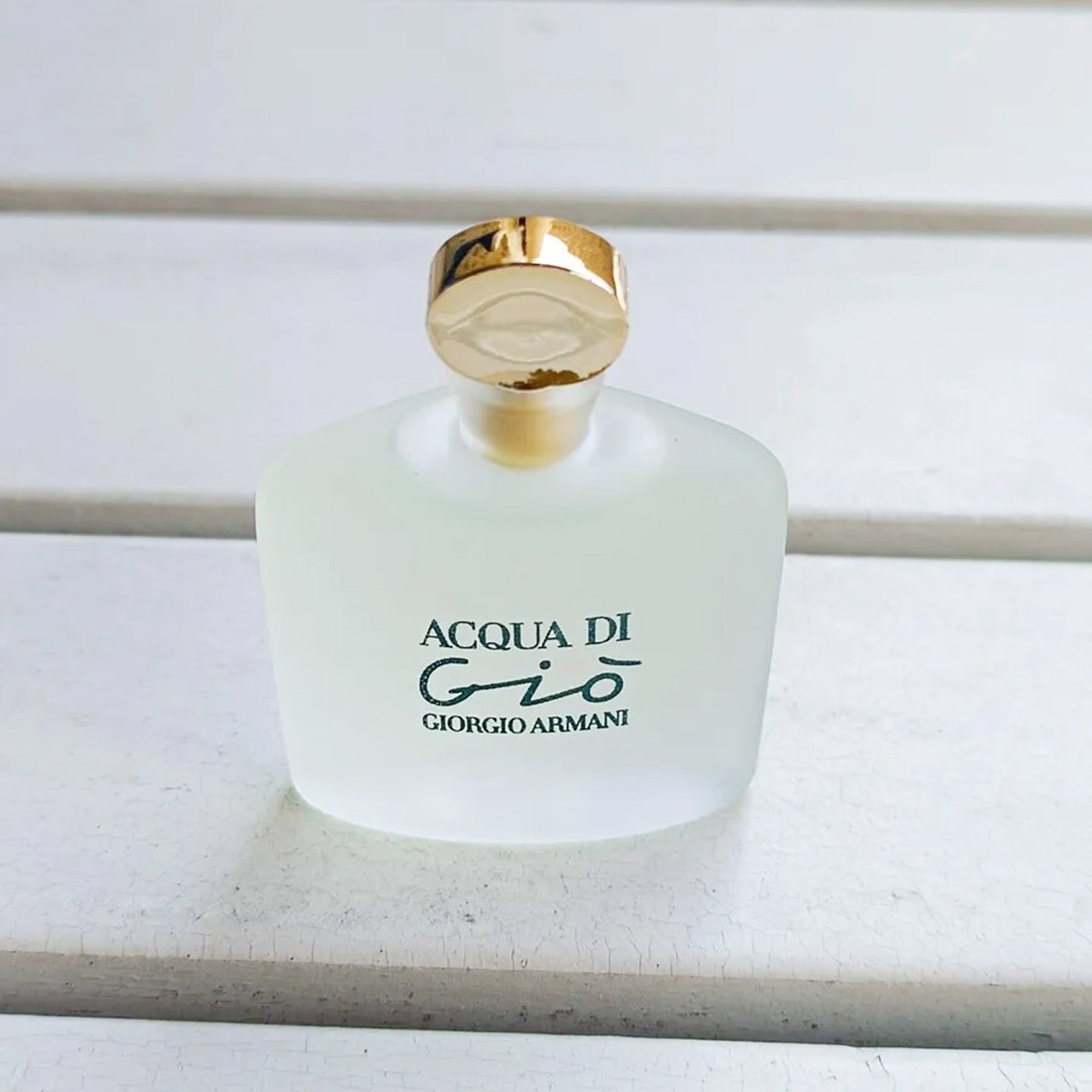 Acqua Di Gio Eau De Toilette Spray for Women